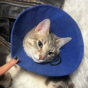 Meet your Posher, Khushi